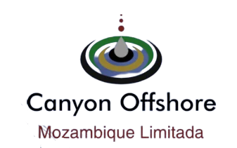 Canyon Offshore logo