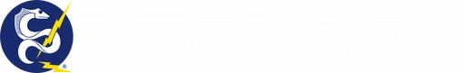 DeepSea Power & Light logo